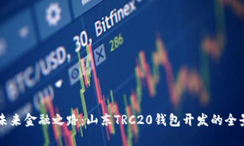 点亮未来金融之路：山东TRC20钱包开发的全景解析