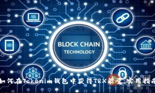 如何在Tokenim钱包中获得TRX能量：实用指南
