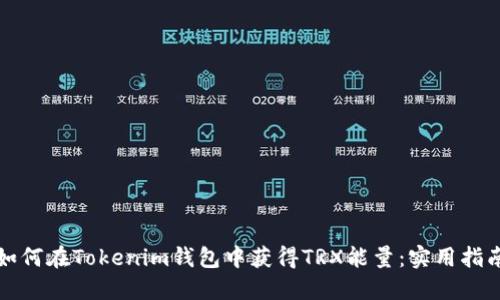 如何在Tokenim钱包中获得TRX能量：实用指南