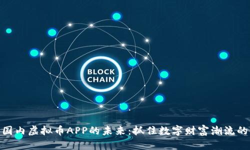 探索国内虚拟币APP的未来：抓住数字财富潮流的机遇