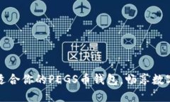 如何选择适合你的PEGS币钱包，畅享数