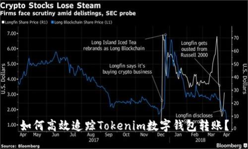 如何高效追踪Tokenim数字钱包转账？