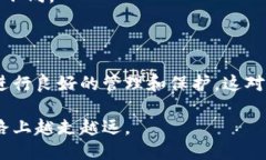 如何查看火币网钱包地址：详细指南在