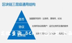 如何高效查询 BCH 钱包余额：全面指南
