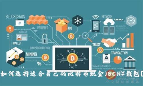 如何选择适合自己的比特币现金（BCH）钱包？