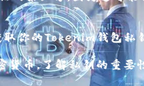 私钥是区块链钱包的核心信息，失去私钥可能导致资产无法找回。关于如何找回Tokenim钱包的私钥，下面将详细介绍相关信息和步骤，但请注意，确保你遵循安全的做法，避免任何形式的网络欺诈。

什么是私钥？
私钥是一个由数字和字母组成的字符串，相当于你的数字资产的密码。只有拥有这个关键词，你才能对钱包中的资产进行访问和控制。就像拥有一把安全锁的钥匙，私钥是打开你资产大门的唯一工具。

为什么私钥丢失会导致资产无法找回？
想象一下，如果你把家里的钥匙丢了，很有可能你将无法进入自己的家。同样，私钥是你数字资产的唯一凭证。如果私钥丢失或被盗，你将无法访问你的资产，因为没有任何中央机构可以帮助你找回这些私钥。

如何找回Tokenim钱包的私钥？
1. **查看备份**: 如果在创建Tokenim钱包时你选择了备份你的私钥，一般会出现一个以“恢复短语”或“助记词”形式存在的字符串。寻找这些备份信息，通常在设置或安全选项中能找到。

2. **恢复助记词**: 如果你还记得你的助记词，这可能是恢复你私钥的简便方式。在Tokenim登录界面或钱包恢复界面，输入你的助记词。助记词通常是12个到24个单词，按顺序输入即可。

3. **联系支持团队**: 如果以上方法都无法帮助你找回私钥，联系Tokenim的客服支持团队或访问他们的官方论坛，有时候其他用户也经过相似的遭遇，分享他们的解决办法。

注意事项
在尝试找回私钥的过程中，保持冷静并确保你正在使用官方网站和官方应用。切勿将私钥或助记词泄露给任何未验证的第三方，因为这可能会导致你的资产被盗。此外，定期备份相关信息并根据情况更新安全设置。

总结
私钥是每个数字钱包中最重要的元素之一，找回私钥需要细心和耐心。如果你按照上述步骤进行操作，希望能重新获取你的Tokenim钱包私钥，保障你的资产安全。记住，安全是使用区块链技术时最重要的一环，保护好你的私钥是确保自己资产安全的关键。 

在数字资产的世界中，只有小心谨慎，才能拥抱这项新兴技术带来的机遇。无论是建立个人钱包，还是交易不同的加密货币，了解私钥的重要性及保护措施都是每一位用户都应掌握的基本知识。
