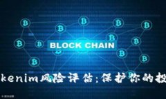 掌握Tokenim风险评估：保护你的投资安