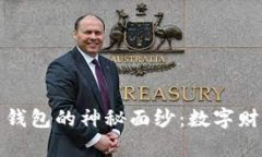 揭开比特币钱包的神秘面纱：数字财富