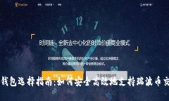 轻钱包选择指南：如何安全高效地支持