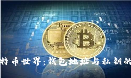: 解密比特币世界：钱包地址与私钥的深度探索