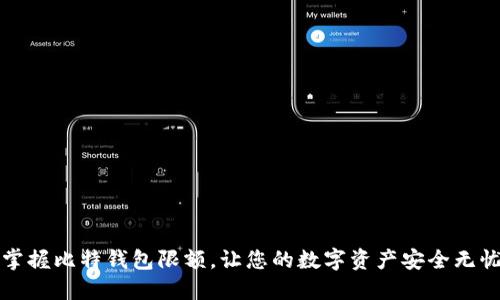 掌握比特钱包限额，让您的数字资产安全无忧