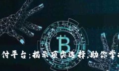 「数字货币支付平台：揭示顶尖选择，