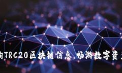 轻松查询TRC20区块链信息，畅游数字资
