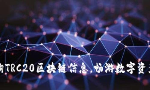 轻松查询TRC20区块链信息，畅游数字资产的海洋